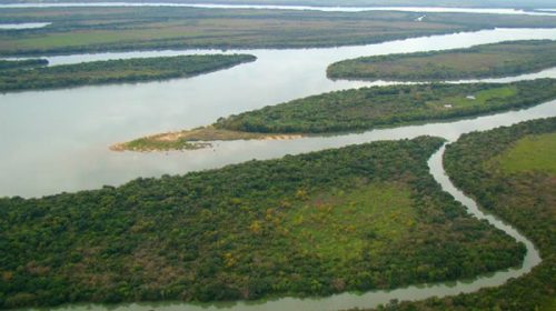 Entre Ríos comenzará el ordenamiento territorial para que el delta sea parte de las áreas naturales protegidas