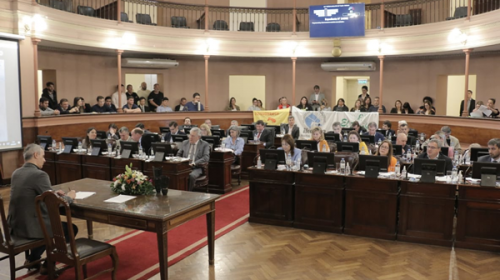Diputados aprobó un proyecto que regula la equinoterapia y las terapias asistidas con animales