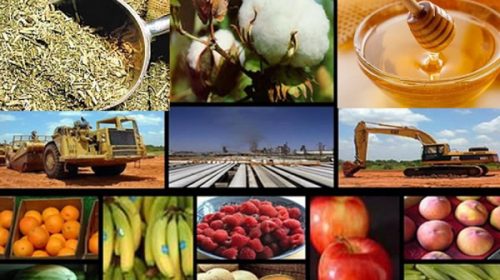 Economías regionales: exportaciones crecieron 8,4% y generaron u$s7.700 millones