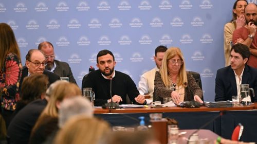 Ley de Humedales: plenario de comisiones para analizar las propuestas y marchas