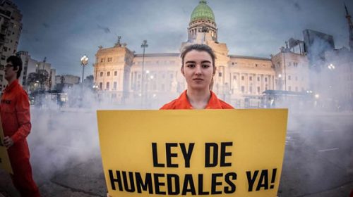 Ley de Humedales: Juntos por el Cambio busca demorar el proyecto