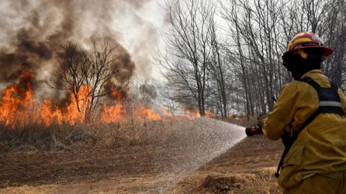 Cuatro incendios forestales se mantienen activos en las sierras de Córdoba