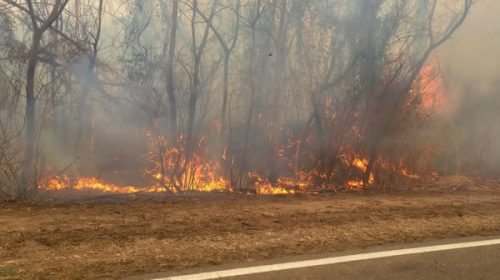 Jujuy declaró la emergencia ígnea y triplicó las multas por causar incendios