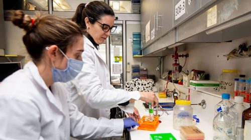 Realizaron un importante estudio sobre mortalidad por bacterias resistentes a medicamentos