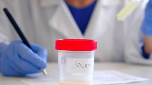 En Francia las personas concebidas mediante donación podrán conocer su origen