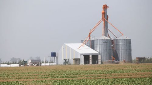 Por primera vez el INTA toma posición sobre los agroquímicos