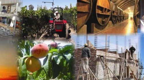 La actividad económica en Entre Ríos ya superó el impacto de la pandemia