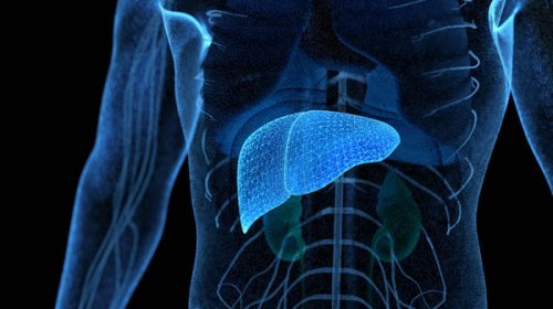 Hepatitis C: realizan test de detección gratuita en 70 hospitales de todo el país