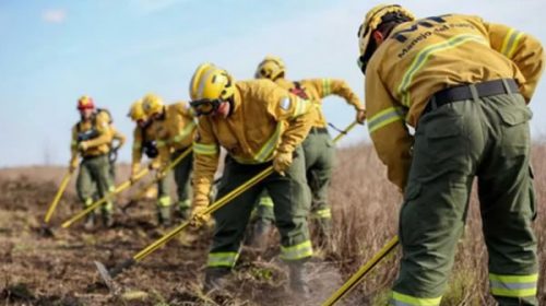 Siguen los incendios en el delta del Paraná: el humo afecta al norte y mañana volvería a Rosario