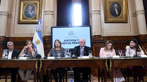 Avanzó en el Senado el proyecto para tipificar el delito de compra y venta de niños