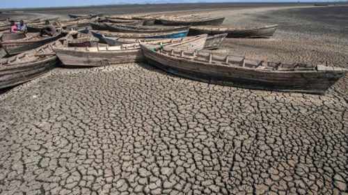 El cambio climático causó las sequías del verano en el hemisferio norte