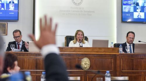 El Senado aprobó la modificación de la Ley de Economía Social y la  creación del Régimen de Microcréditos