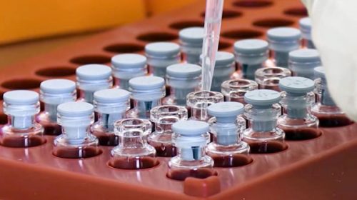 Argentina podría convertirse en un centro de producción de vacunas