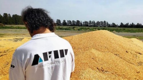 AFIP detectó “irregularidades” en Córdoba por 1700 toneladas de granos