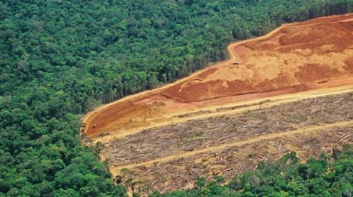 Récord de deforestación en la selva del Amazonas brasileña en octubre
