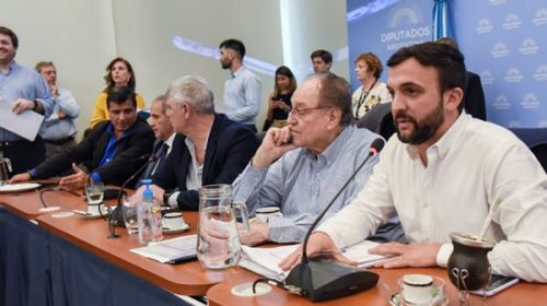 Ley de Humedales: las deserciones propias hicieron fracasar el proyecto del FdT y JxC se quedó con el dictamen de mayoría