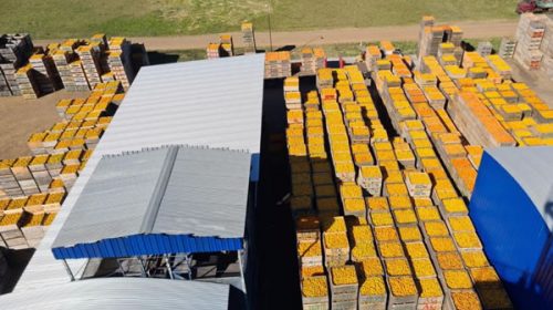 JuCoFer integra la misión comercial entrerriana a Singapur y Vietnam