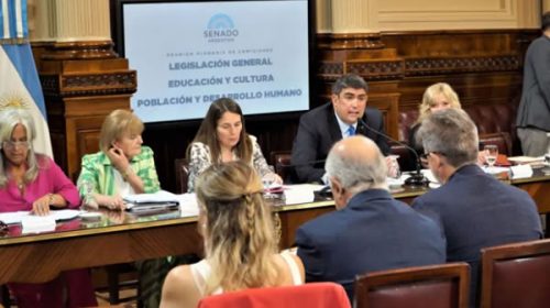 Dictamen favorable para la “Ley Lucio” en el Senado