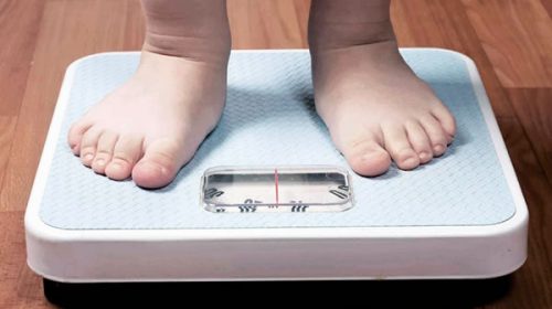 Bajó la desnutrición pero creció el sobrepeso en tres provincias en los últimos 20 años