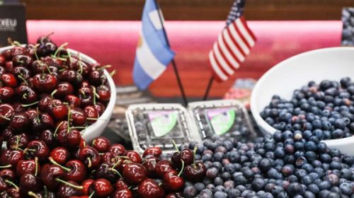 Partió el primer embarque de arándanos y cerezas a Estados Unidos