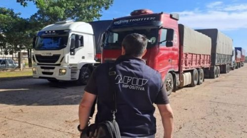 La AFIP no se toma vacaciones: incautó 180 toneladas de soja por contrabando en Corrientes
