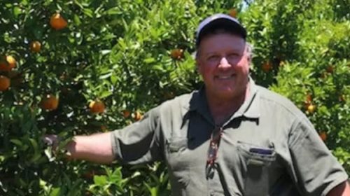 Sequía: Calgaro advirtió que la falta de lluvias va a golpear los precios de naranjas y mandarinas a lo largo de 2023