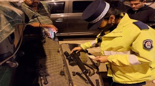 Controles en ruta: en distintos operativos, secuestran animales silvestres y armas