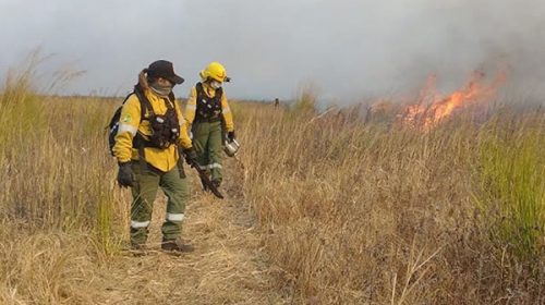 Continúan controlados los incendios en islas del Delta