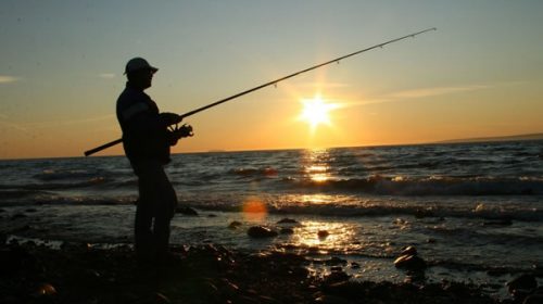 Recuerdan qué días está vigente «la veda absoluta de la pesca» en el río Uruguay
