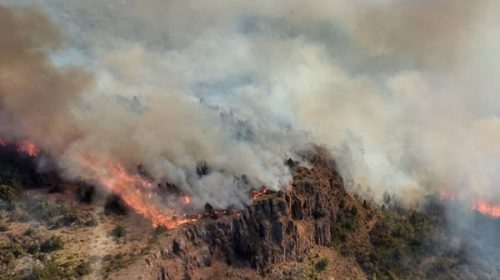 Un incendio de bosques se extiende en el Parque Nacional Los Alerces
