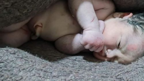 Milagro en Turquía: rescataron entre los escombros a una bebé unida a su madre por el cordón umbilical