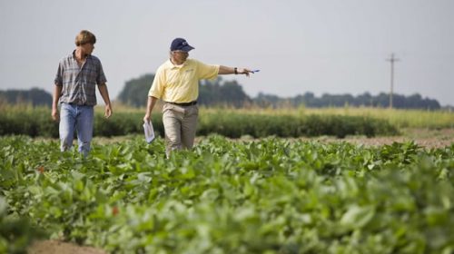 Crean un registro para simplificar el acceso de pequeños productores agropecuarios a la asistencia estatal