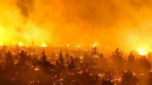 Chile declaró estado de catástrofe por incendios forestales: la cifra de muertos subía a 24