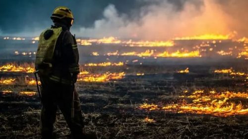 Chile: toque de queda por los incendios forestales