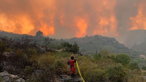 Chile: abren 50 investigaciones sobre el origen de los incendios forestales
