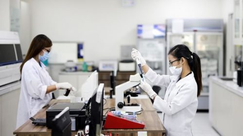 Anmat aprobó un tratamiento para el cáncer de vejiga: “Estamos haciendo de Argentina un centro de investigación clínica”