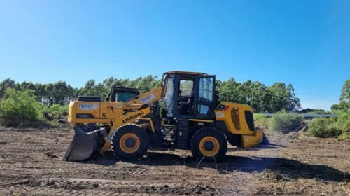 Vecinos frenaron un desmonte ilegal de árboles nativos en Federación