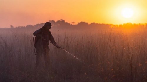 Cinco provincias con focos activos, entre ellos en los Esteros del Iberá y Los Alerces