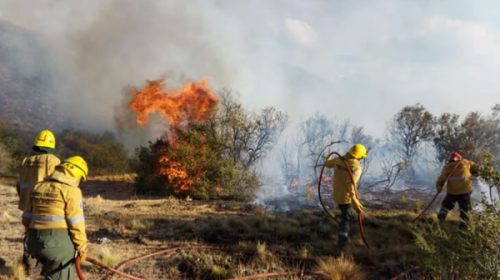 Hay incendios forestales en cinco provincias, entre ellos en Esteros del Iberá y Los Alerces Hay incendios forestales en cinco provincias, entre ellos en Esteros del Iberá y Los Alerces