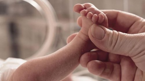 En Entre Ríos bajaron 40% los nacimientos en ocho años
