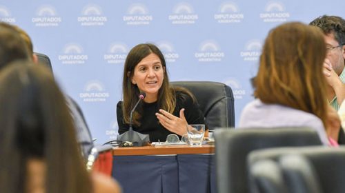 Plan de pago de Deuda previsional: la pelea con la oposición por un derecho adquirido