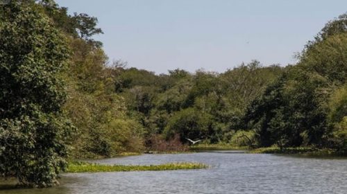 Impulsan un nuevo parque provincial en las islas del Río Uruguay