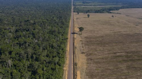 La deforestación en la Amazonía vuelve a subir a niveles récords
