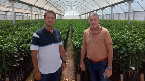 Ballay desarrolló actividades junto a productores forestales y de nuez pecan