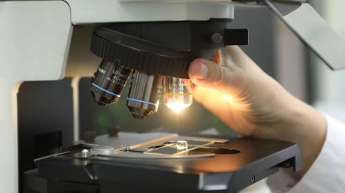 Cómo es el flamante programa para fortalecer la investigación científica universitaria Cómo es el flamante programa para fortalecer la investigación científica universitaria