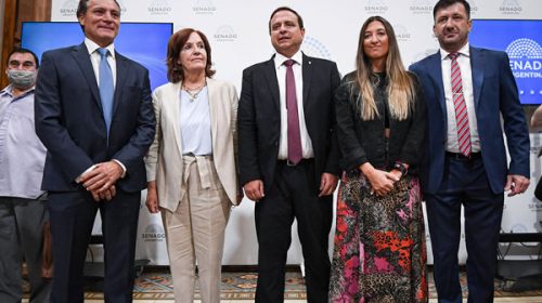 Senado: Unidad Federal convocó a una sesión para tratar la Ley Lucio y pliegos de jueces