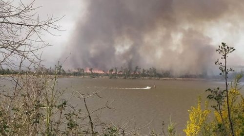 Combaten un foco de incendio detectado al norte de las islas del Delta