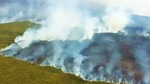 Combaten dos incendios en el Delta Combaten dos incendios en el Delta