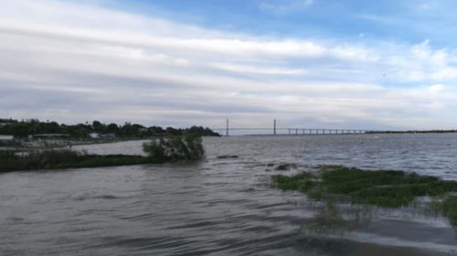 La altura del Río Paraná es la más alta en tres años: llegó a 3,55 metros