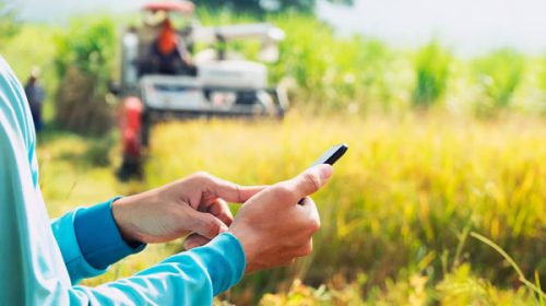 Argentina aumentó 30% la conectividad rural entre 2021 y 2022